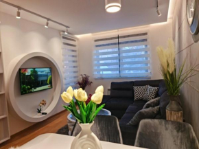 Lux apartman central 48- vila Pekovic
